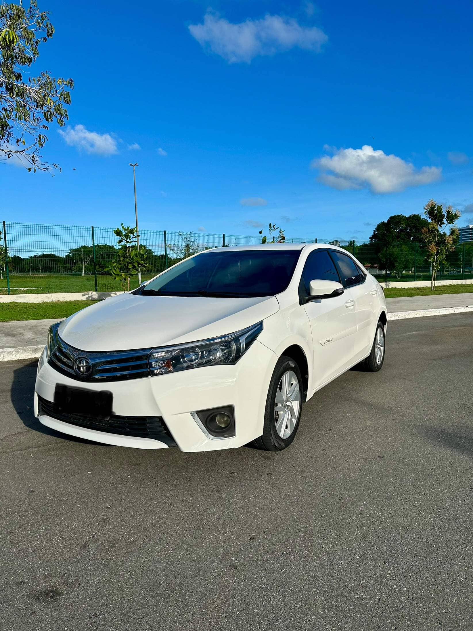 Corolla