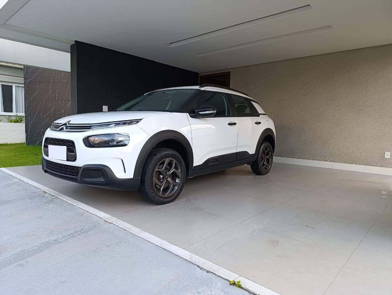 C4 Cactus